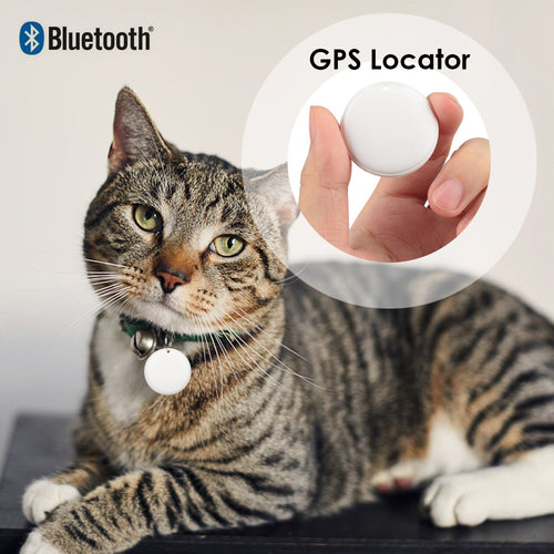 Etichetă GPS pentru câini și pisici, dispozitiv de localizare mic și durabil, cu design compact pentru animale de companie.